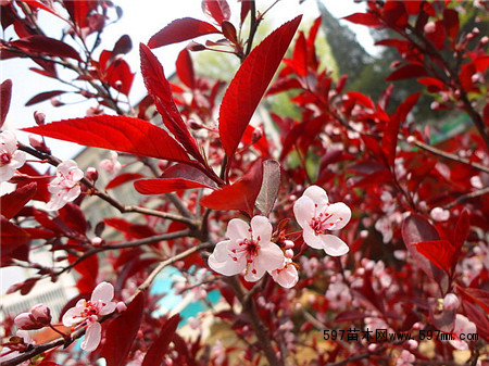 ���~����