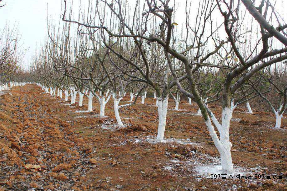 ��ľԽ������ע�����