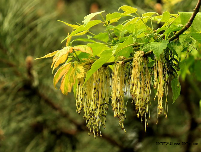 ���~���~��