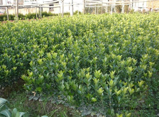 ���~�S����