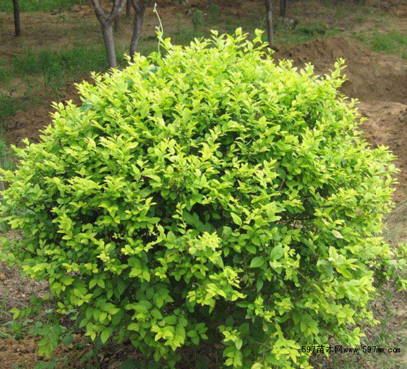 ���~Ůؑ��