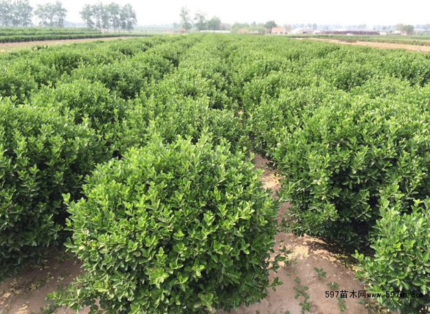 ���~�S��