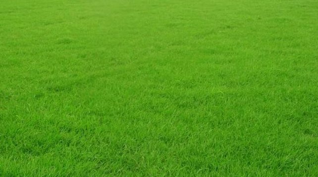 �_(t��i)����