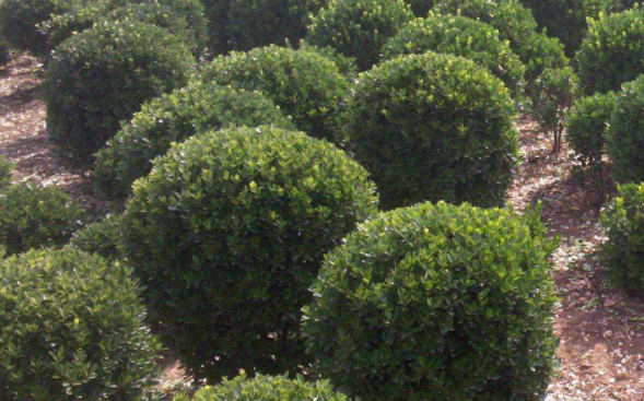 ���~�S��