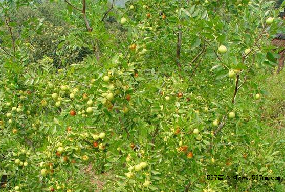 ����(sh��)��