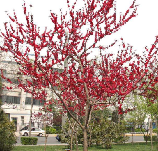 �t�~����