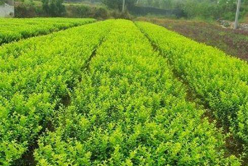 �z�|�l(w��i)ì