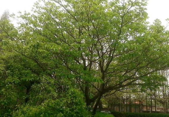 ���_(t��i)��