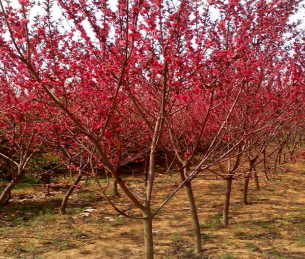 �t�~����