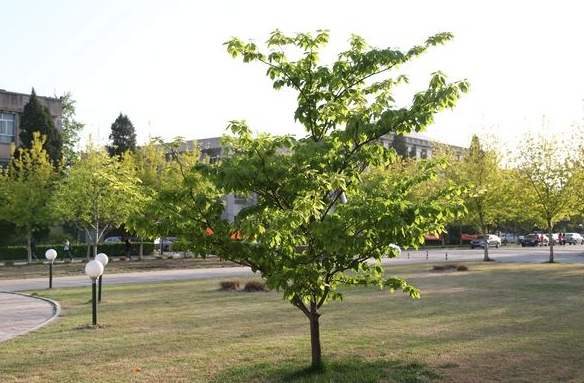 ���_(t��i)��