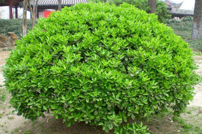 ���~�S��